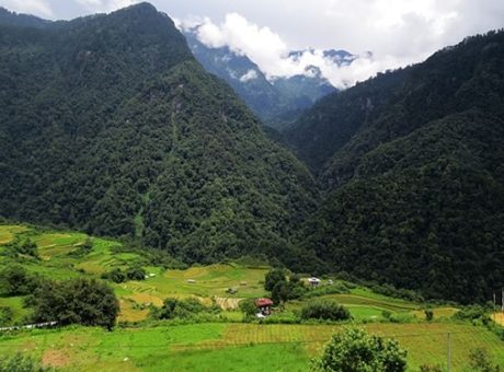bhutans-national-parks-and-wildlife-sanctuaries_5880