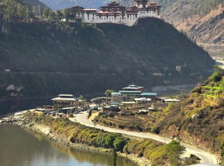 pexels-phuntsho-wangdi-134453878-20724436